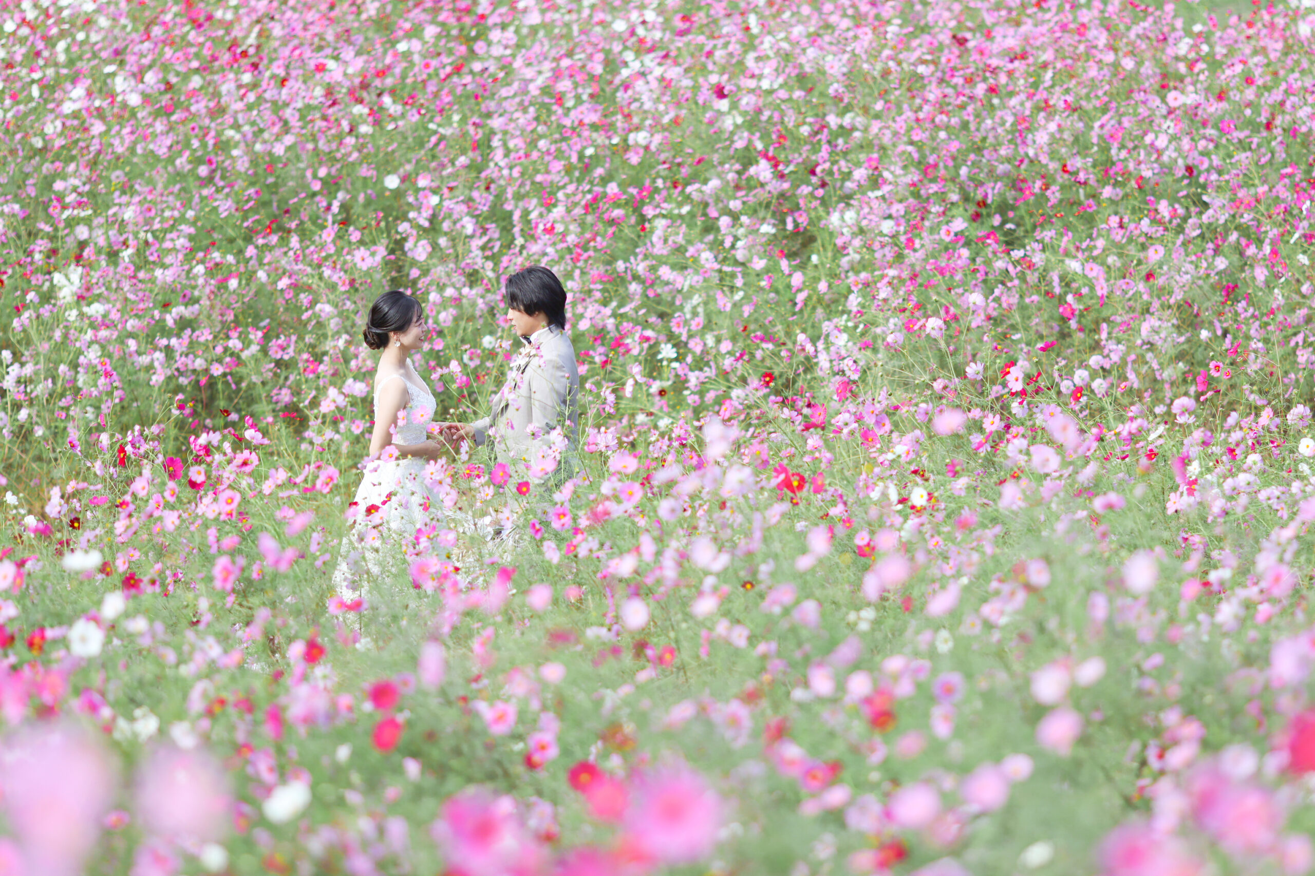ドイツの森